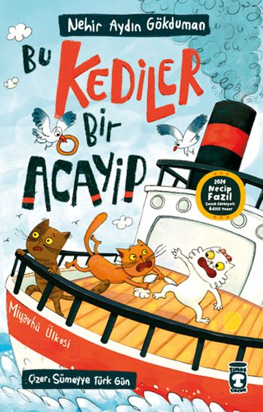 Bu Kediler Bir Acayip Bu Kediler Bir Acayip