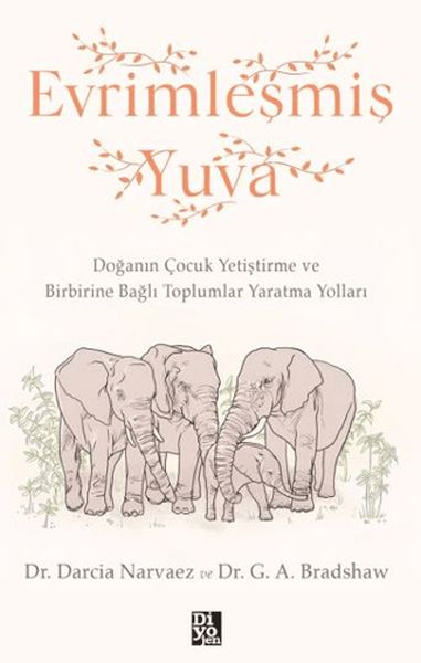 Evrimleşmiş Yuva Evrimleşmiş Yuva