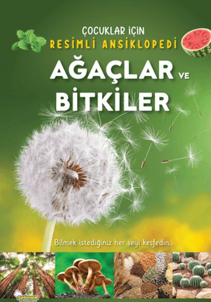 Ağaçlar ve Bitkiler Ağaçlar ve Bitkiler