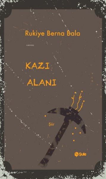 Kazı Alanı Kazı Alanı