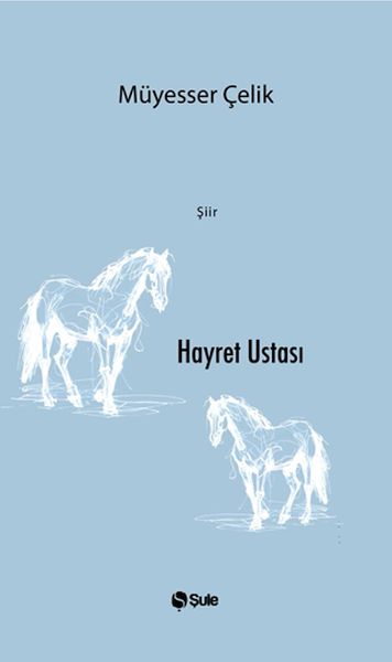 Hayret Ustası Hayret Ustası