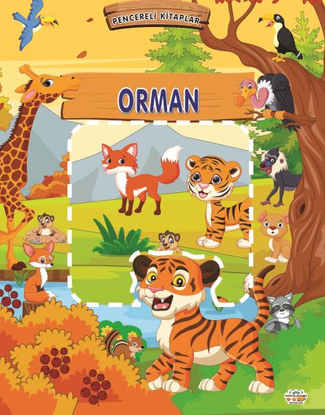 Pencereli Kitaplar Orman Pencereli Kitaplar Orman