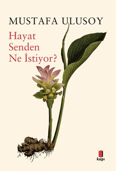 Hayat Senden Ne İstiyor? Hayat Senden Ne İstiyor?