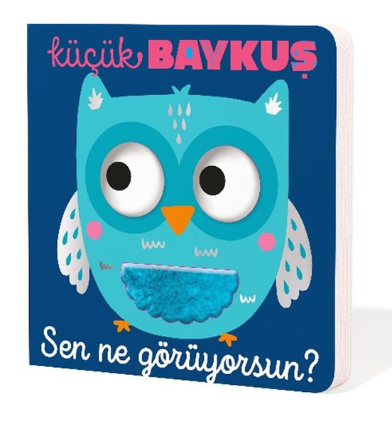 Küçük Baykuş Sen Ne Görüyorsun? Küçük Baykuş Sen Ne Görüyorsun?