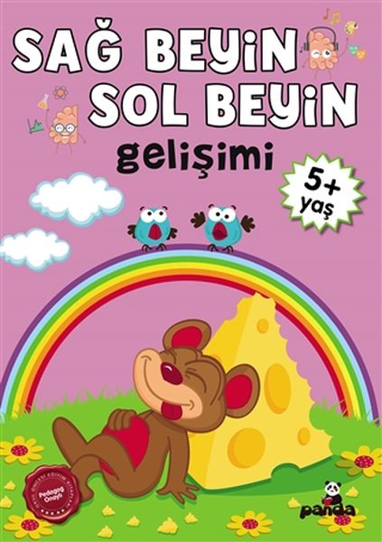 5 Yaş Sağ Beyin-Sol Beyin Gelişimi 5 Yaş Sağ Beyin-Sol Beyin Gelişimi