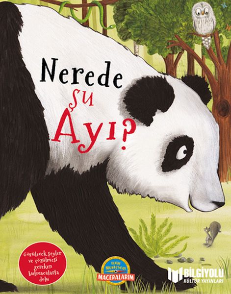 Nerede Şu Ayı ? Nerede Şu Ayı ?