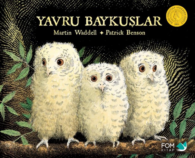 Yavru Baykuşlar Yavru Baykuşlar