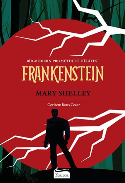 Frankenstein (Bez Ciltli) Frankenstein (Bez Ciltli)
