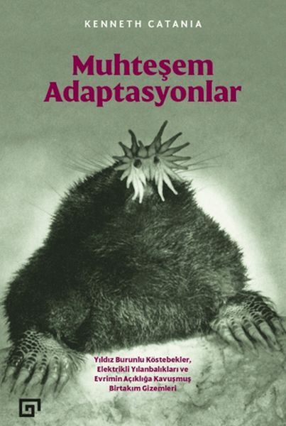 Muhteşem Adaptasyonlar Muhteşem Adaptasyonlar