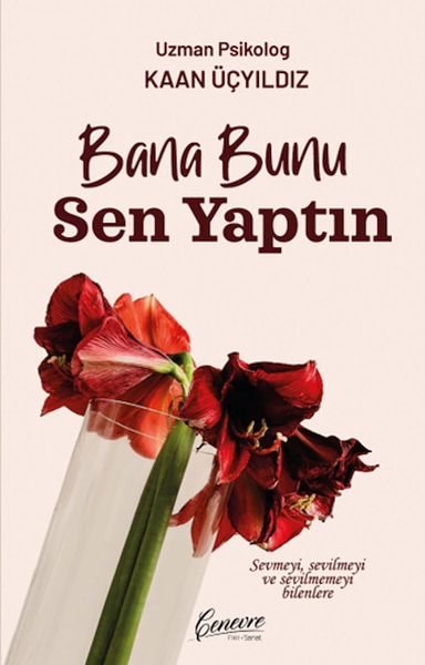 Bana Bunu Sen Yaptın Bana Bunu Sen Yaptın