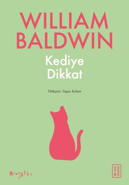 Kediye Dikkat Kediye Dikkat