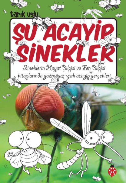 Şu Acayip Sinekler Şu Acayip Sinekler