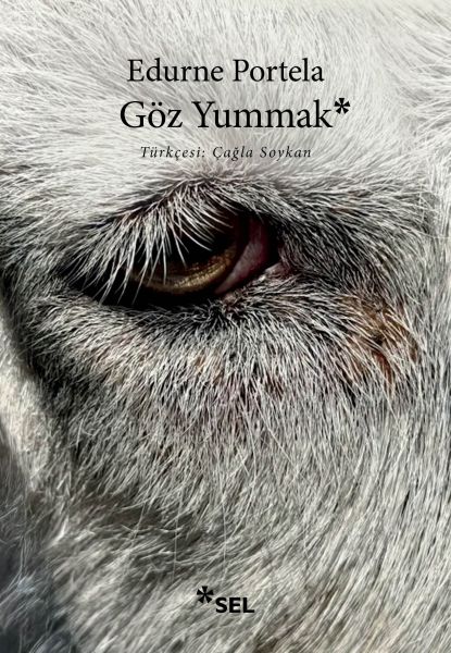 Göz Yummak Göz Yummak