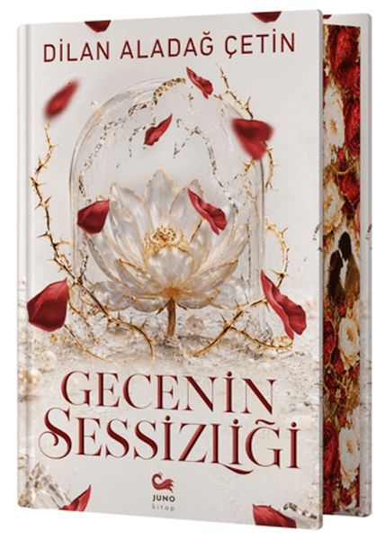 Gecenin Sessizliği Gecenin Sessizliği