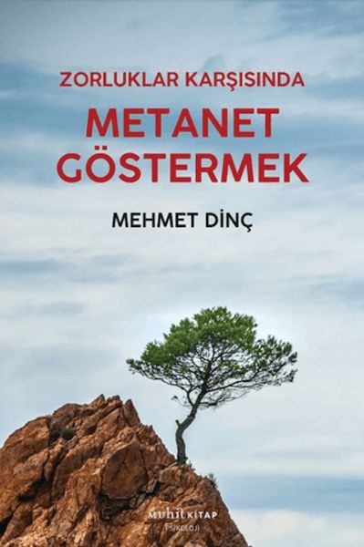 Metanet Göstermek