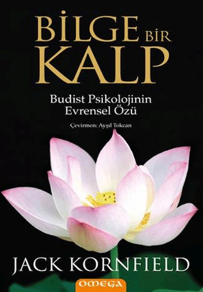 Bilge Bir Kalp Bilge Bir Kalp