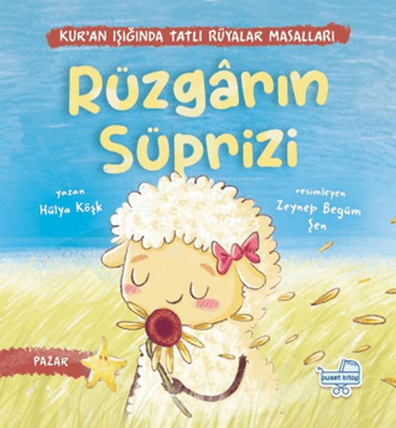 Rüzgarın Sürprizi Rüzgarın Sürprizi