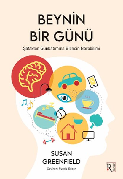 Beynin Bir Günü Beynin Bir Günü