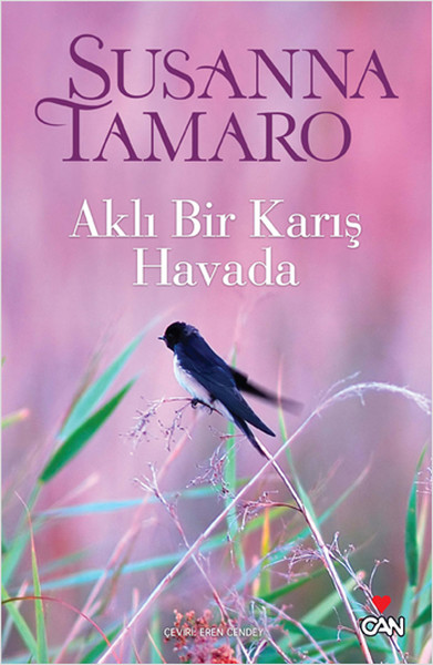 Aklı Bir Karış Havada Aklı Bir Karış Havada
