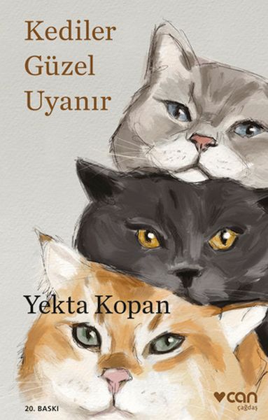 Kediler Güzel Uyanır Kediler Güzel Uyanır