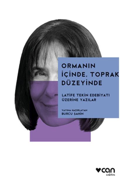 Ormanın İçinde, Toprak Düzeyinde Latife Tekin Edebiyatı Üzerine