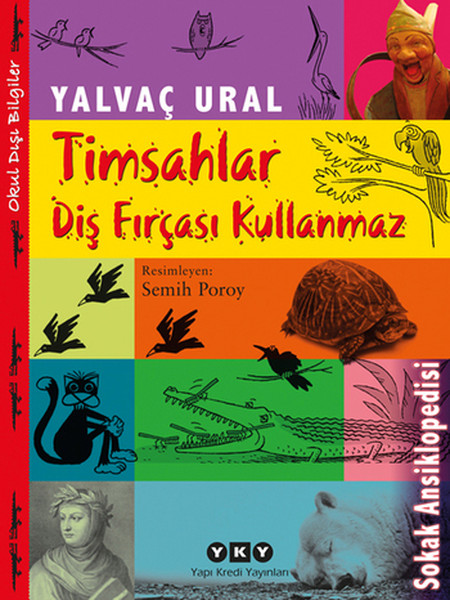 Timsahlar Diş Fırçası Kullanmaz Timsahlar Diş Fırçası Kullanmaz