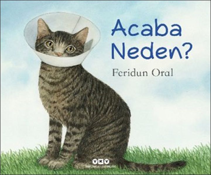 Acaba Neden? Acaba Neden?