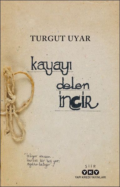 Kayayı Delen İncir Kayayı Delen İncir