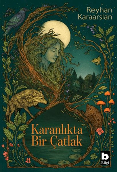 Karanlıkta Bir Çatlak