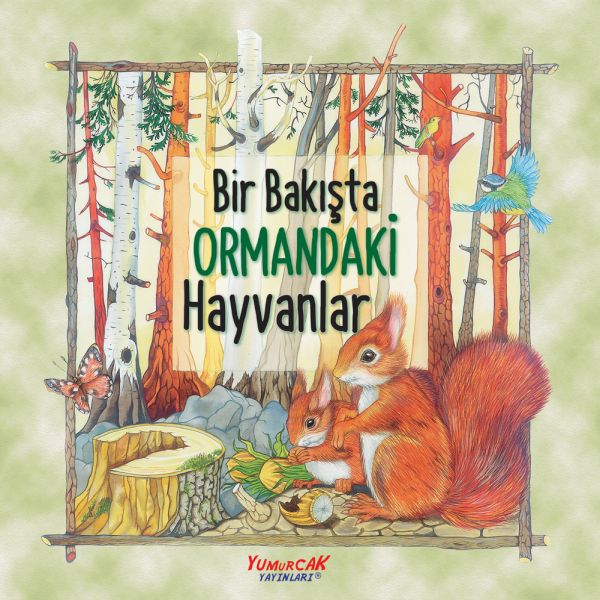 Bir Bakışta Ormandaki Hayvanlar Bir Bakışta Ormandaki Hayvanlar