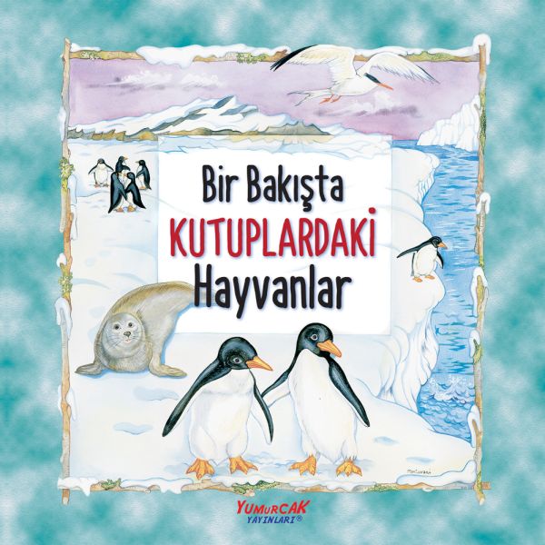 Bir Bakışta Kutuplardaki Hayvanlar Bir Bakışta Kutuplardaki Hayvanlar