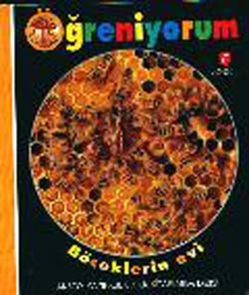 Öğreniyorum Böceklerin Evi (Ciltli) Öğreniyorum Böceklerin Evi (Ciltli)