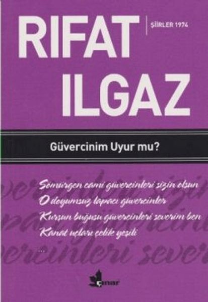 Güvercinim Uyur mu ? Güvercinim Uyur mu ?