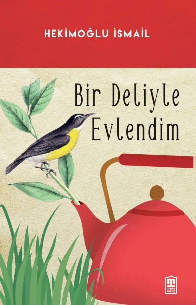 Bir Deliyle Evlendim Bir Deliyle Evlendim