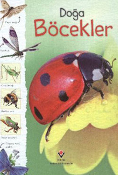 Doğa - Böcekler Doğa - Böcekler