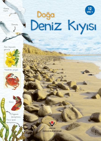 Doğa Deniz Kıyısı Doğa Deniz Kıyısı