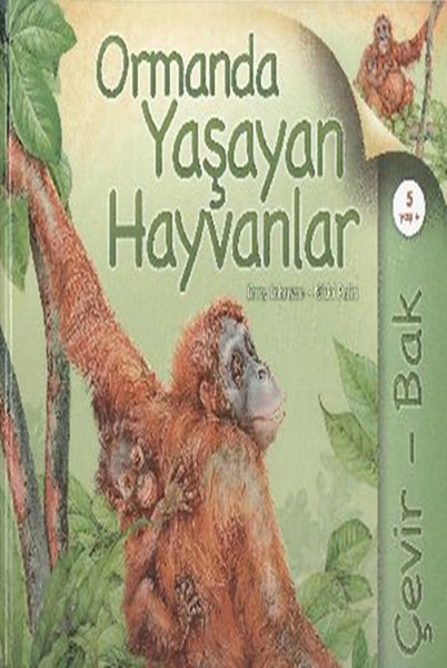 Çevir Bak Ormanda Yaşayan Hayvanlar Çevir Bak Ormanda Yaşayan Hayvanlar