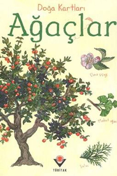 Doğa Kartları - Ağaçlar Doğa Kartları - Ağaçlar