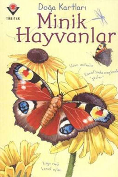 Doğa Kartları - Minik Hayvanlar Doğa Kartları - Minik Hayvanlar