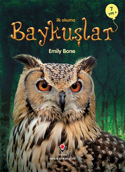 İlk Okuma - Baykuşlar İlk Okuma - Baykuşlar