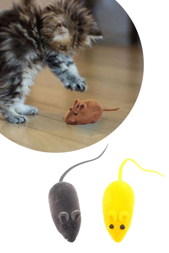 2li Evcil Hayvan Eğitim Sevimli Elastik Kedi Fare Yakalama İnteraktif Sesli Eğitim Oyuncağı (4172)