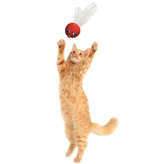 Renkli Hasır  Tüylü Oyun Topu (catnipli) İlgi Çekici Eğlenceli  Eğitici Evcil Hayvan Oyun (4172)