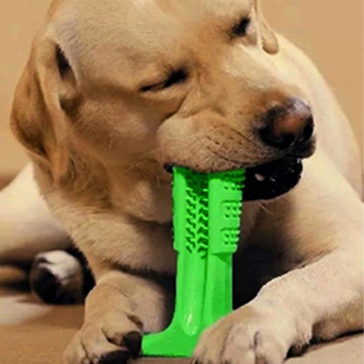 Köpek Diş Temizleyici Ve Kaşıyıcı Sağlıklı Küçük Boy Oyuncak (4172)