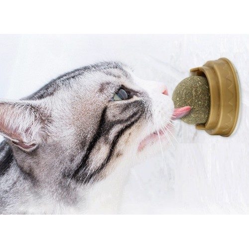 Kedi Nanesi Oyun Topu
