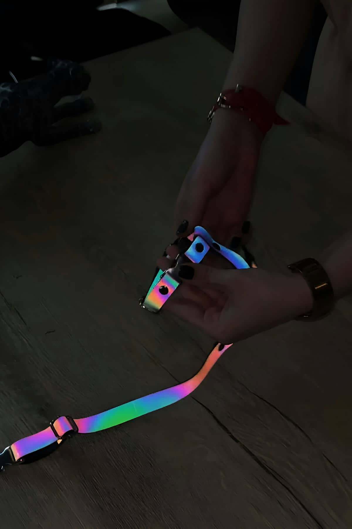 Lisinya41 Kedi Reflektörlü Harness Göğüs Ve Gezdirme Seti - Ürün Rengi:Rainbow Reflektör
