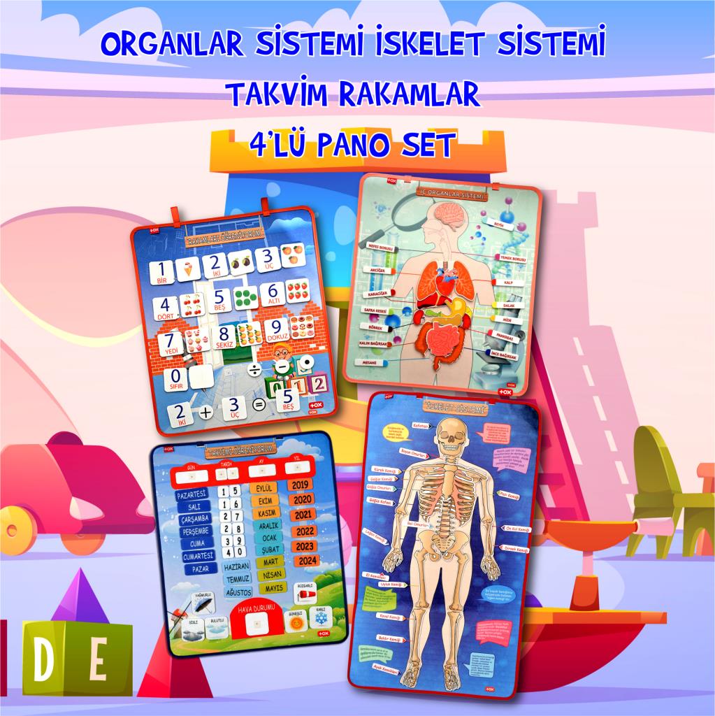 Lisinya247 4 Set - 151 Parça  İskelet , İç Organlar Sistemi , Takvim ve Rakamları Öğreniyorum Keçe Cırtlı Duvar Panoları , Eğitici Oyuncak