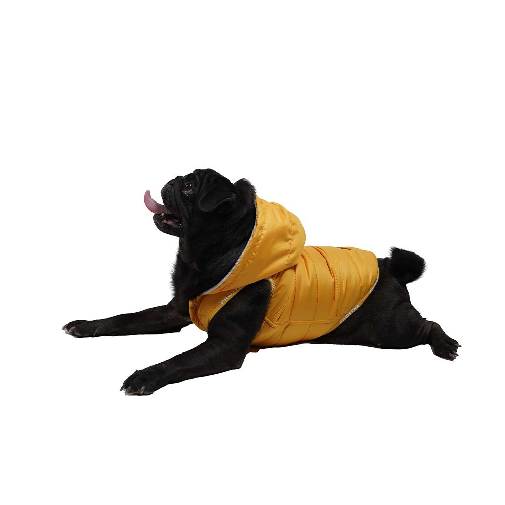 Lisinya205 Küçük ve Orta Irk Sarı Sport Köpek Yeleği Medium 28 Cm