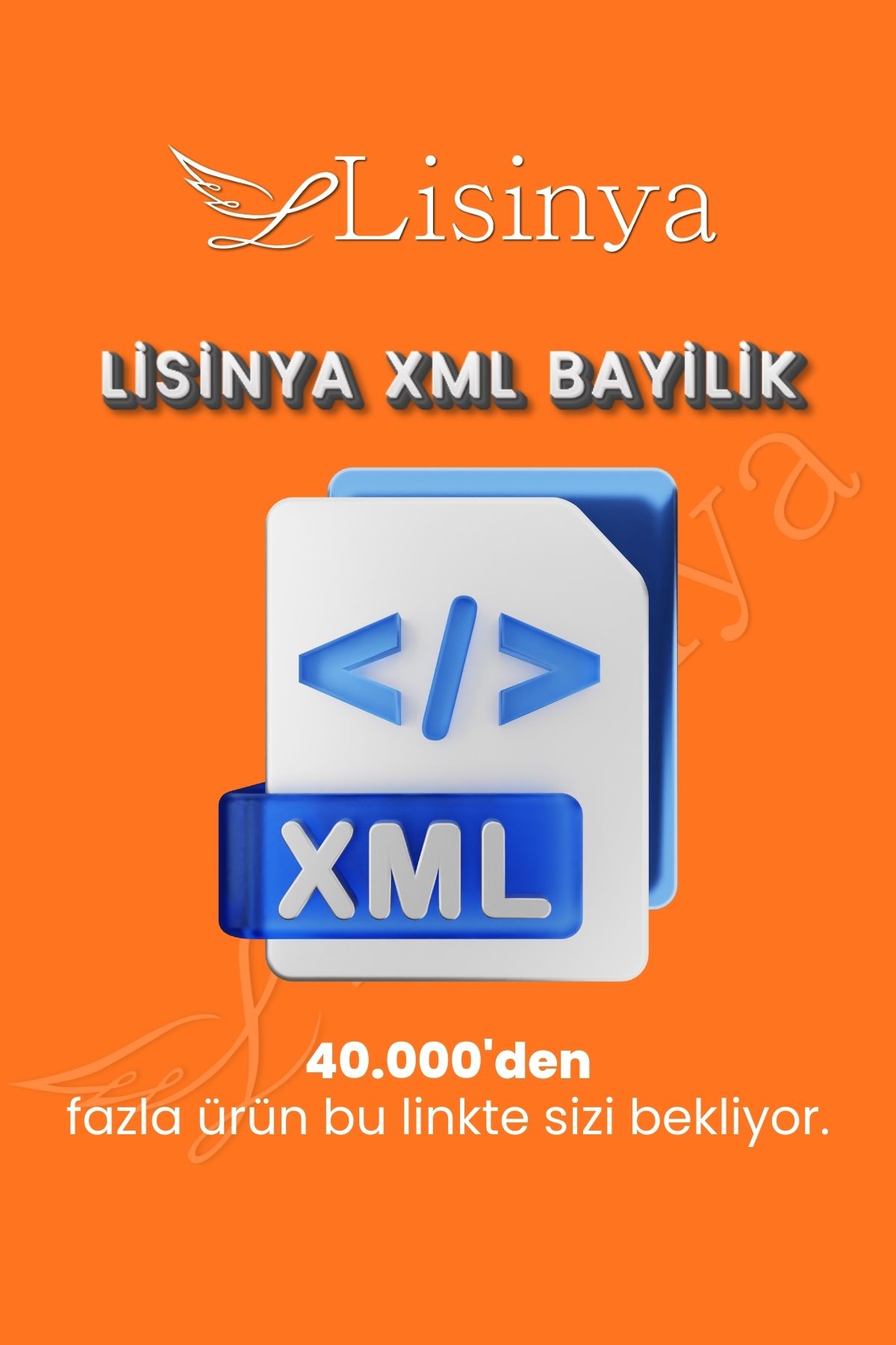 Lisinya 1 Yıllık XML Hizmet Bedeli