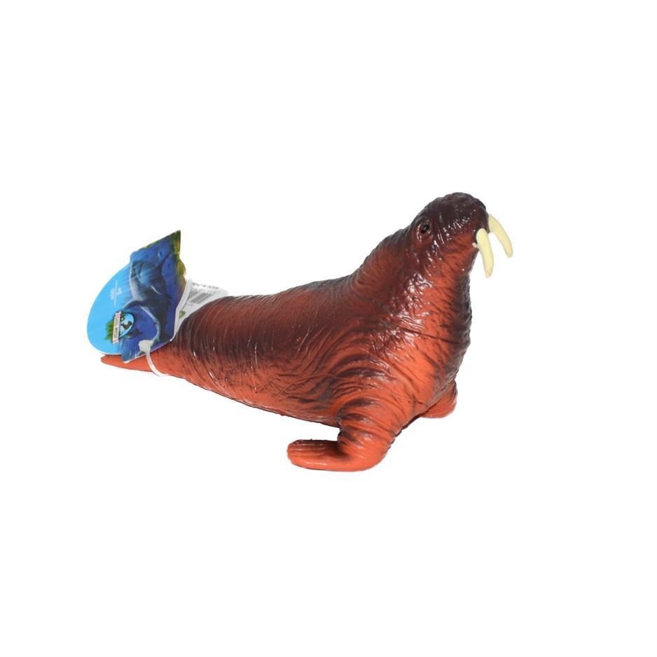 Deniz Hayvanları Serisi - E022-DişliFokBalığı (Lisinya)