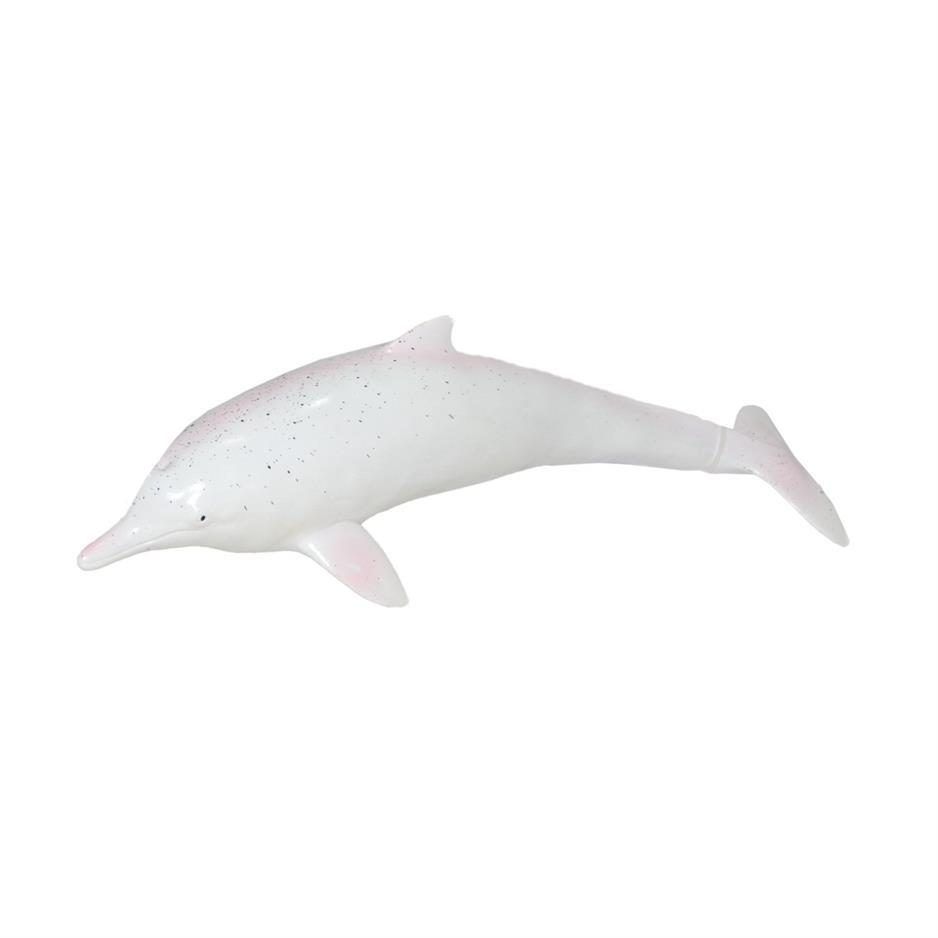 Deniz Hayvanları Serisi - E022-BeyazYunus (Lisinya)